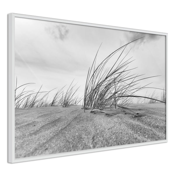 Poster - Seaside Dunes  - wit