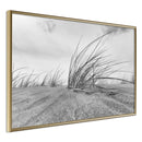 Poster - Seaside Dunes  - goud