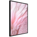 Poster - Pink Feathers  - zwart