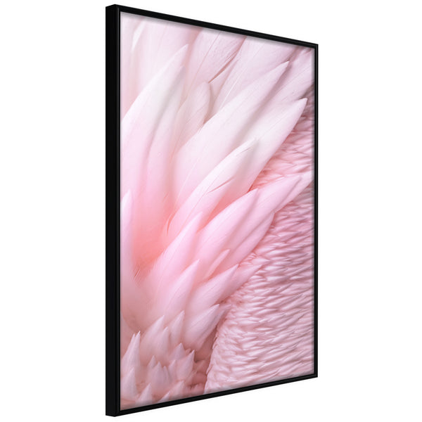 Poster - Pink Feathers  - zwart