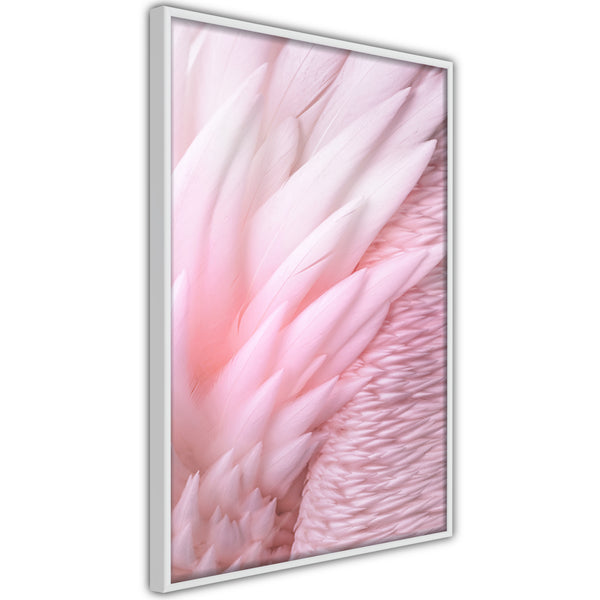 Poster - Pink Feathers  - wit