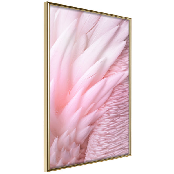 Poster - Pink Feathers  - goud