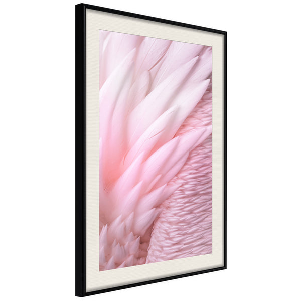 Poster - Pink Feathers  - zwart passepartout