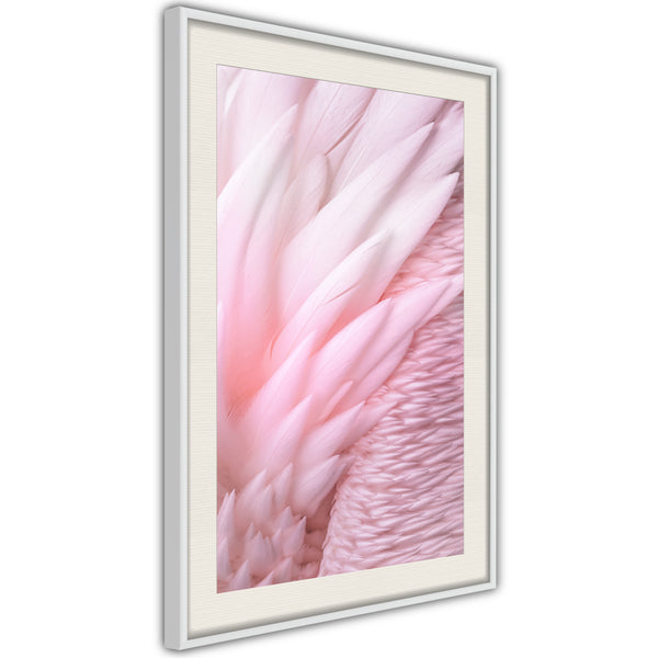 Poster - Pink Feathers  - wit passepartout