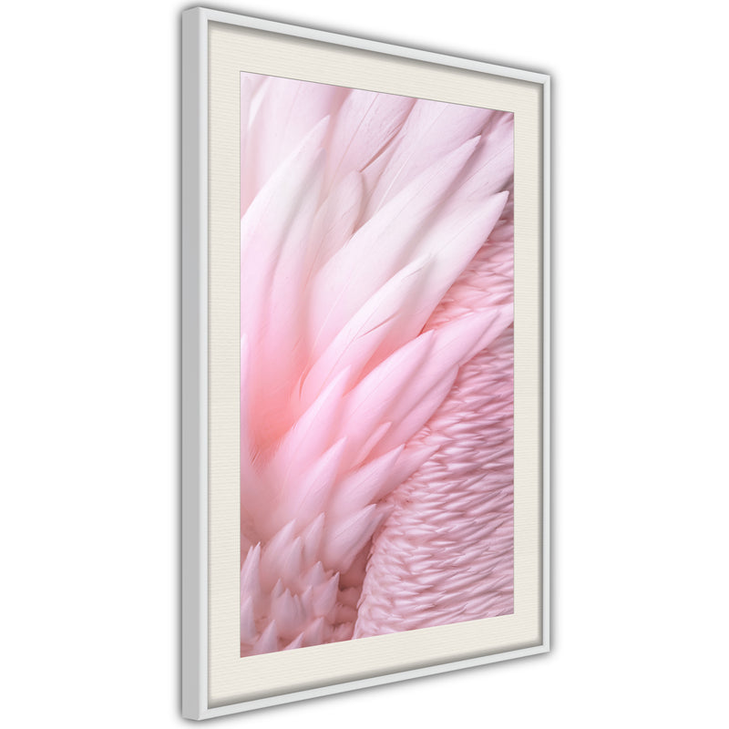Poster - Pink Feathers  - wit passepartout
