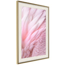 Poster - Pink Feathers  - goud passepartout