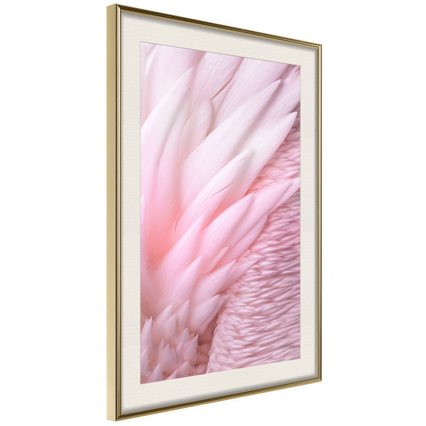 Poster - Pink Feathers  - goud passepartout
