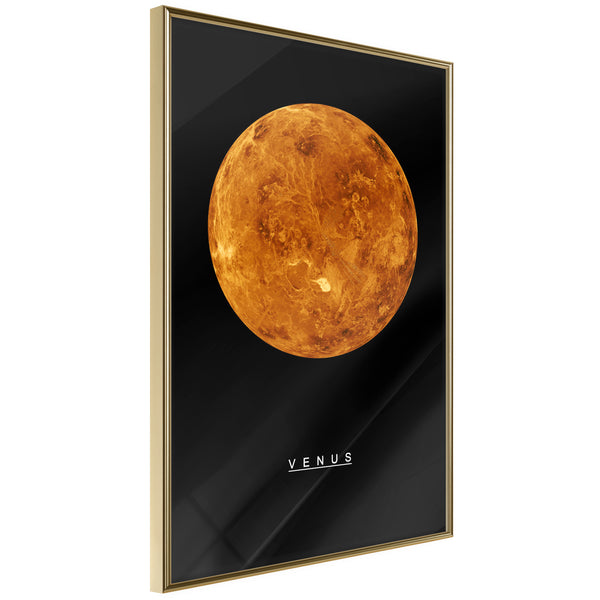 Poster - The Solar System: Venus  - goud