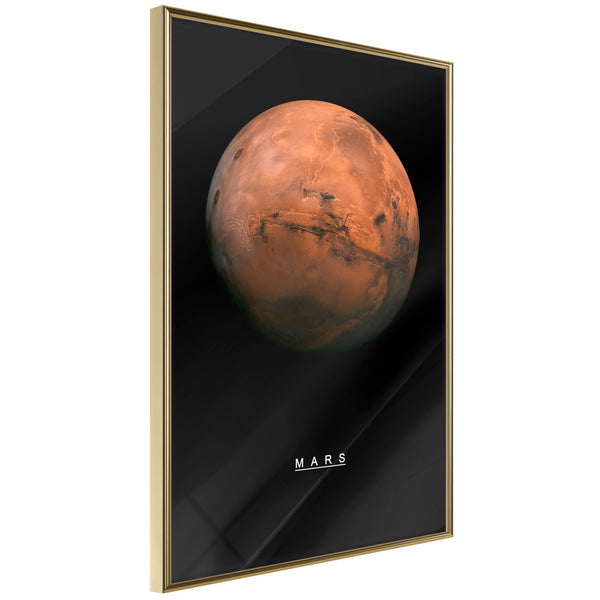 Poster - The Solar System: Mars  - goud