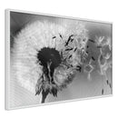 Poster - Dandelion in the Wind  - wit