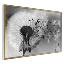 Poster - Dandelion in the Wind  - goud