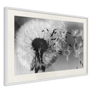 Poster - Dandelion in the Wind  - wit passepartout