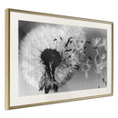 Poster - Dandelion in the Wind  - goud passepartout
