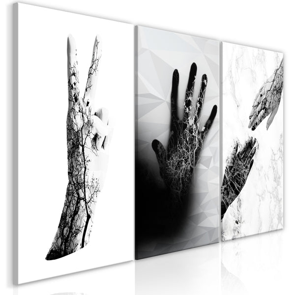https://www.fotoartgeist.pl/ebaytemp/obrazy1/n-C-0221-b-e/n-C-0221-b-e-eb10.jpg
