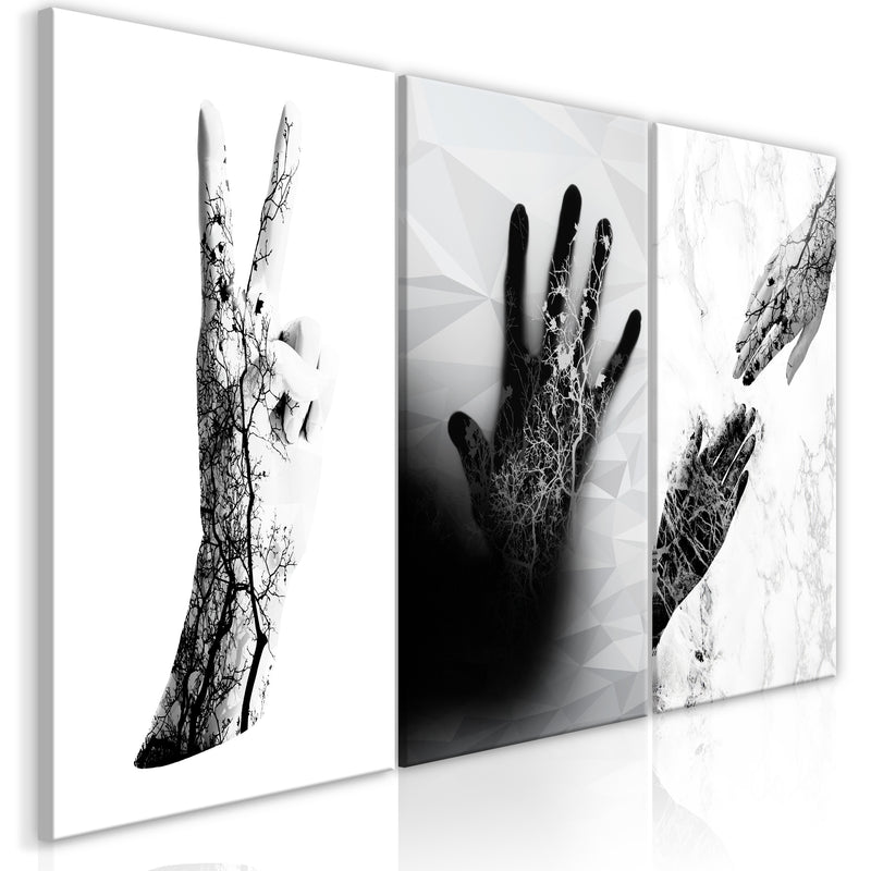 https://www.fotoartgeist.pl/ebaytemp/obrazy1/n-C-0221-b-e/n-C-0221-b-e-eb10.jpg
