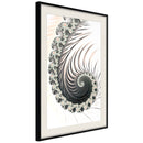 Poster - Fractal Spiral (Positive)  - zwart passepartout