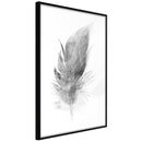 Poster - Lost Feather (Grey)  - zwart