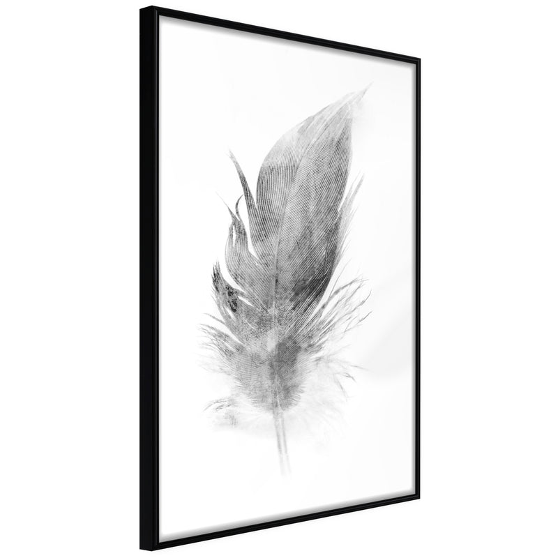 Poster - Lost Feather (Grey)  - zwart