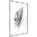 Poster - Lost Feather (Grey)  - wit