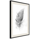 Poster - Lost Feather (Grey)  - zwart passepartout