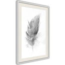Poster - Lost Feather (Grey)  - wit passepartout