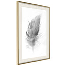 Poster - Lost Feather (Grey)  - goud passepartout