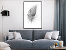 Poster - Lost Feather (Grey)  - zwart