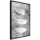 Poster - Delicate Feathers  - zwart