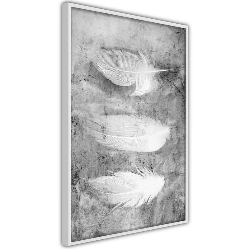Poster - Delicate Feathers  - wit