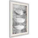 Poster - Delicate Feathers  - wit passepartout