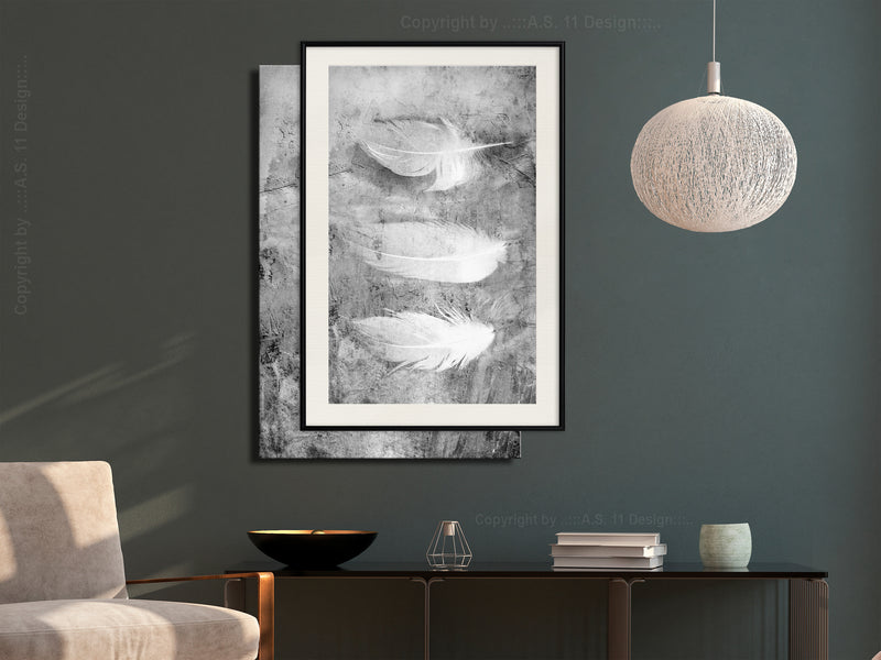 Poster - Delicate Feathers  - zwart passepartout