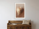 Poster - Fleeting Delicacy  - wit passepartout