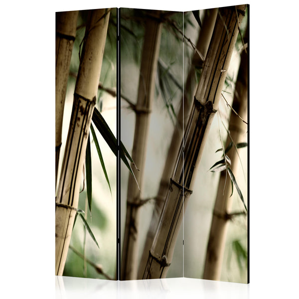https://www.fotoartgeist.pl/ebaytemp/parawan/p-C-0021-z-b/p-C-0021-z-b-eb1.jpg
