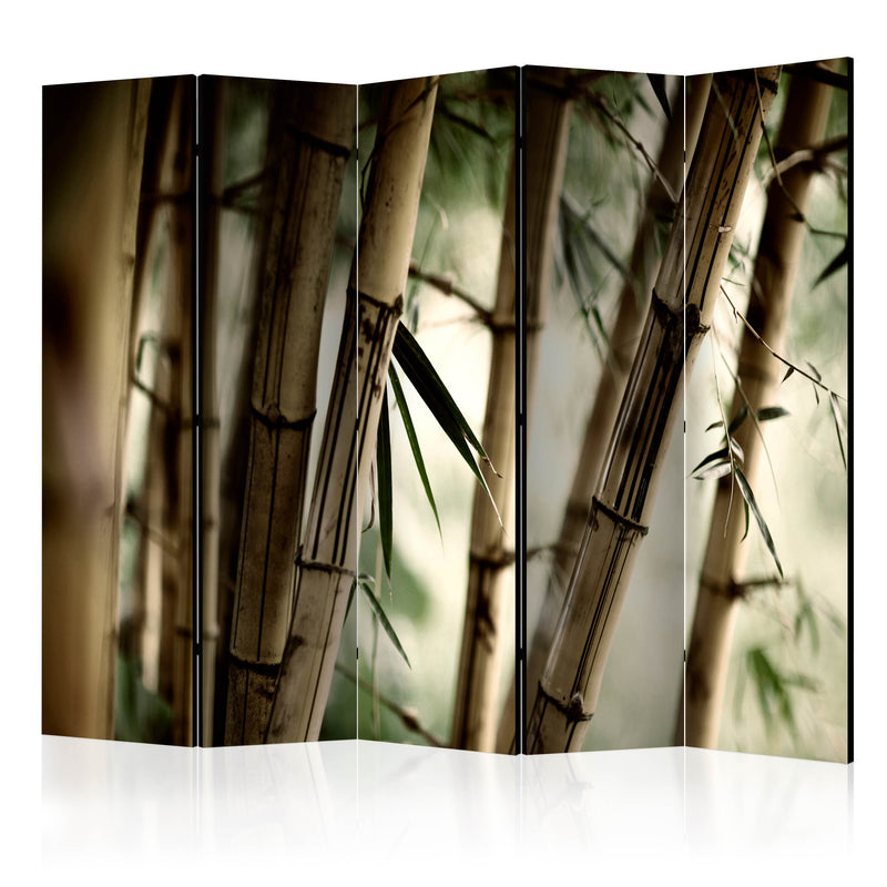 https://www.fotoartgeist.pl/ebaytemp/parawan/p-C-0021-z-c/p-C-0021-z-c-eb1.jpg