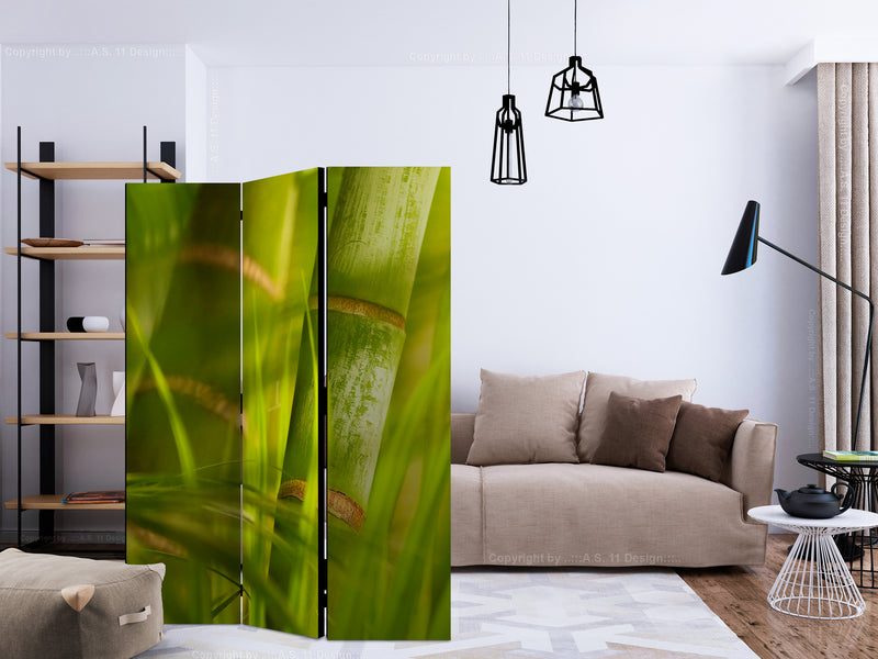 https://www.fotoartgeist.pl/ebaytemp/parawan/p-C-0023-z-b/p-C-0023-z-b-ebVis2.jpg