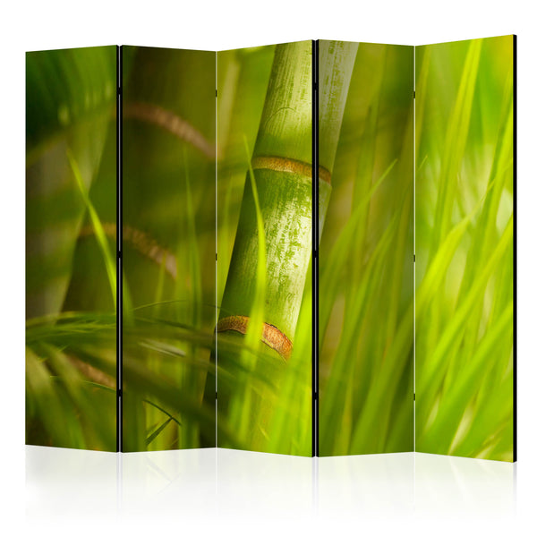 https://www.fotoartgeist.pl/ebaytemp/parawan/p-C-0023-z-c/p-C-0023-z-c-eb1.jpg